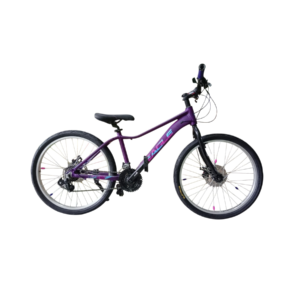 BICICLETA RIN #24 EAGLE 3X7V